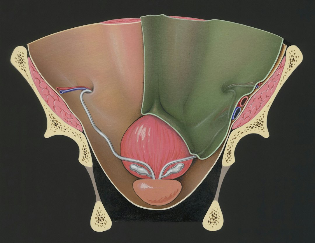 A Comprehensive Guide to IVF Down-Regulation: What You Need to Know