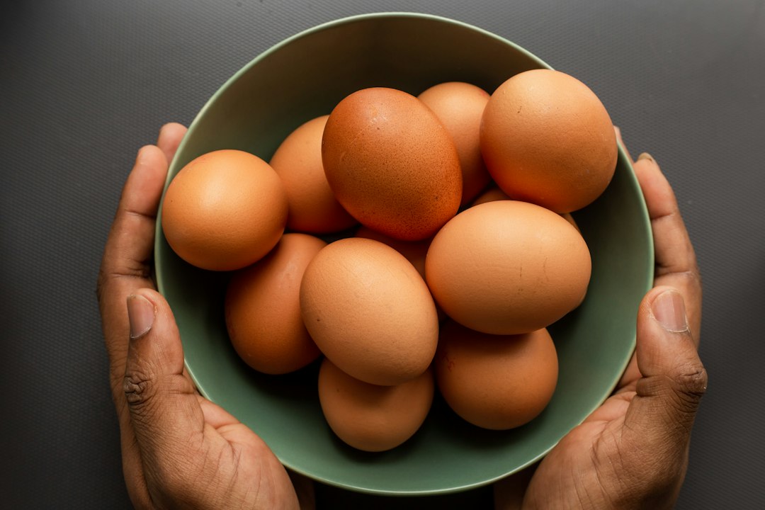 Can Egg Quality Be Improved: Evidence and Misconceptions