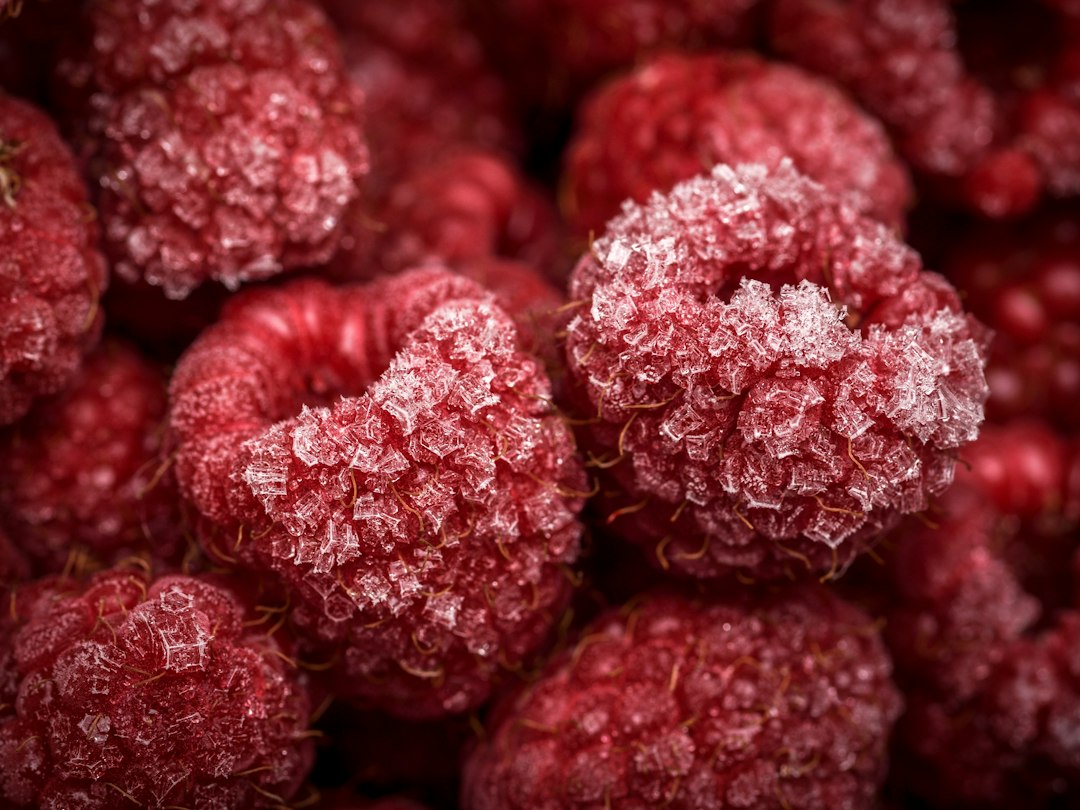 Choosing Between Fresh and Frozen Embryo Transfer