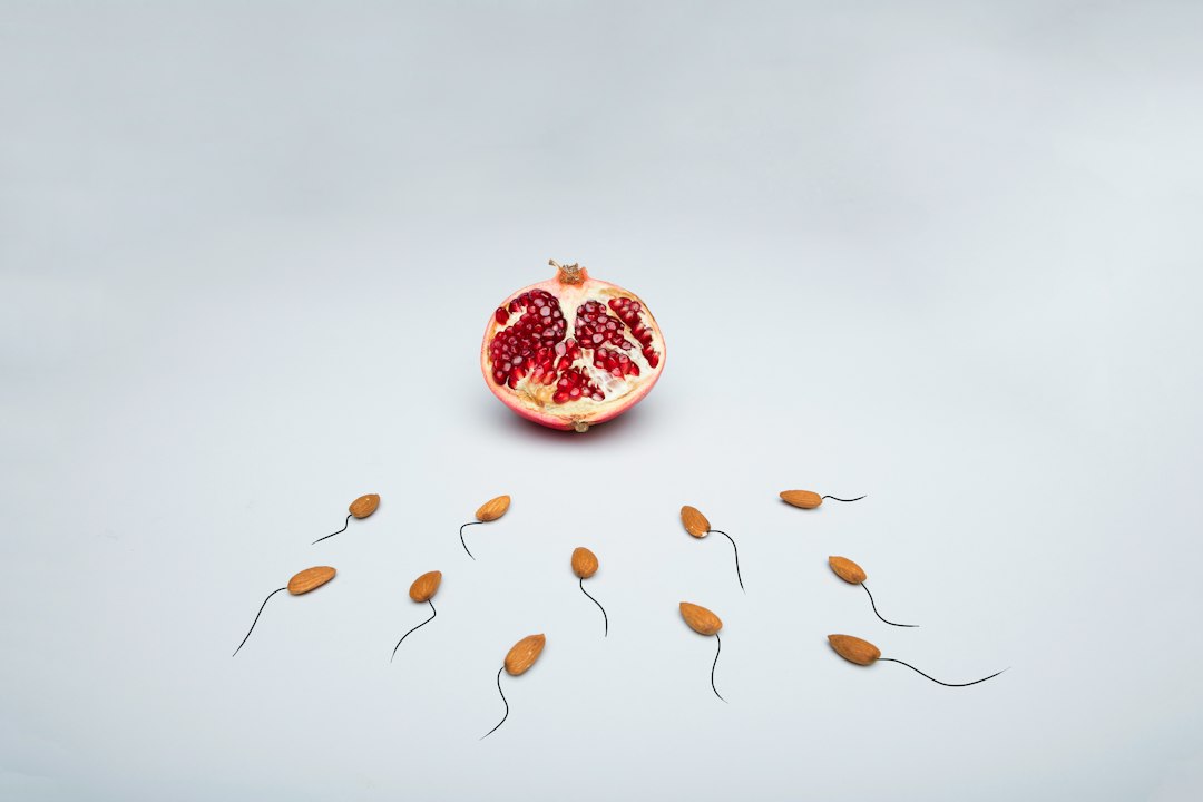 The Impact of Male Age on IVF Success Rates