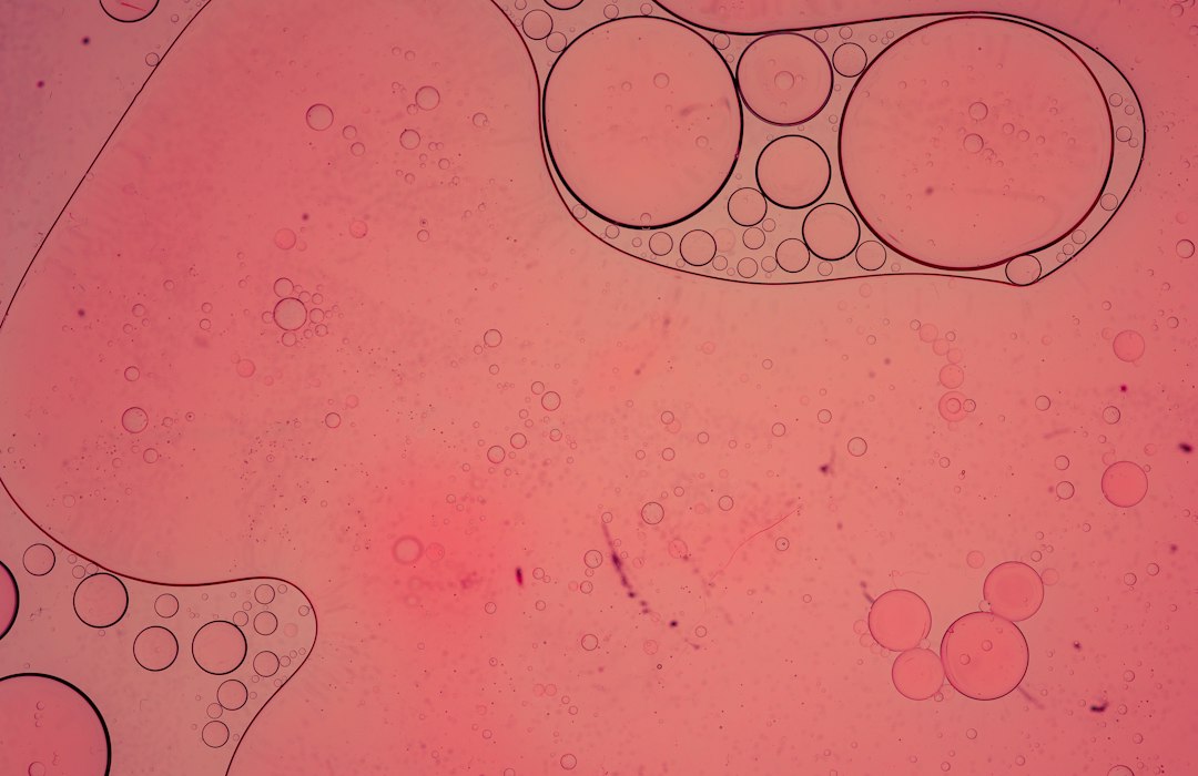 Understanding Blastocyst Grades in IVF: AA, AB, BB Explained