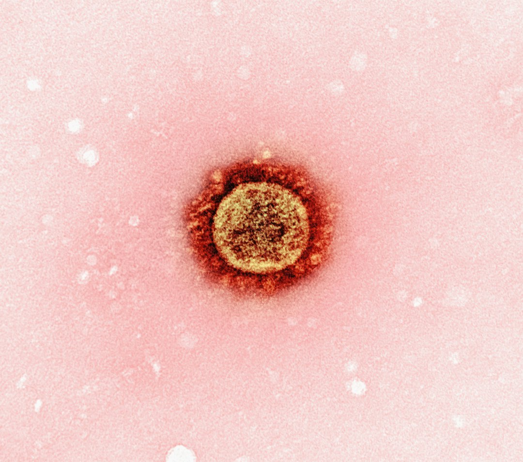Understanding Common Causes of Failed Embryo Culture in IVF