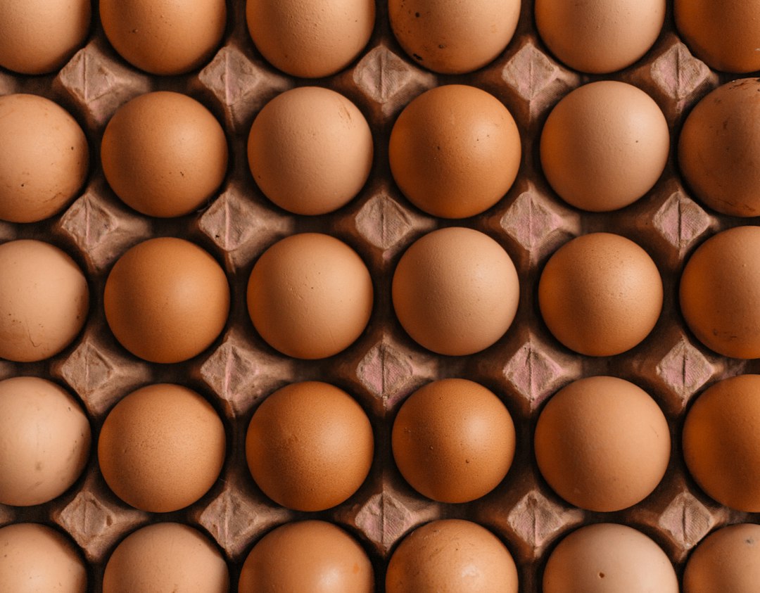Understanding Egg Maturity in IVF: MII, MI, and GV Explained