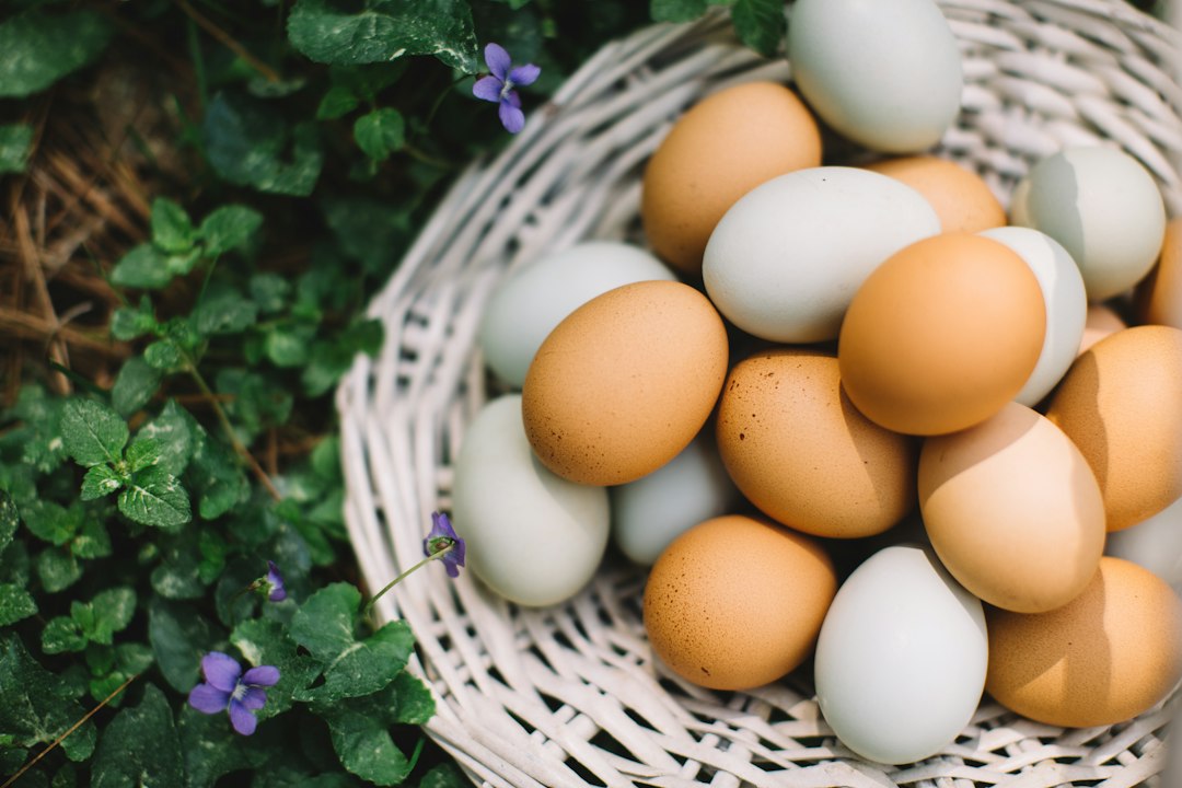 Understanding Egg Maturity in IVF: MII, MI, and GV Explained
