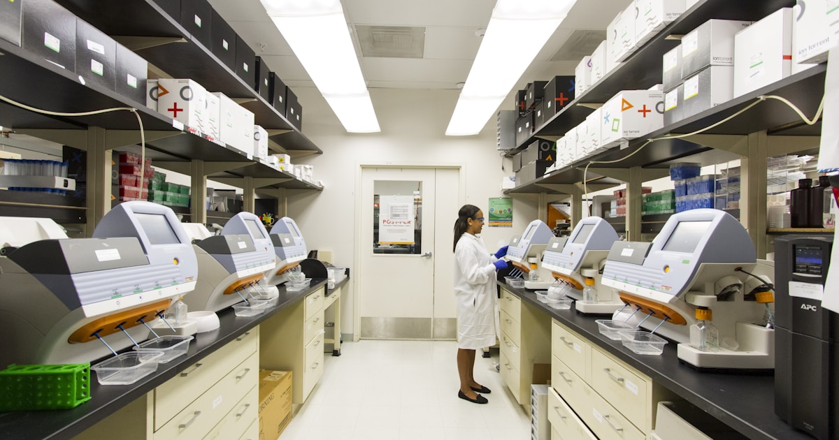 What Is IVF? A Complete Beginner's Guide